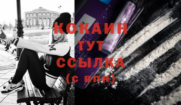 твердый Ладушкин