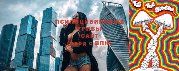 ПСИЛОЦИБИНОВЫЕ ГРИБЫ Вязники