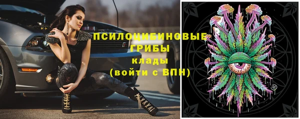прущие грибы Лихославль